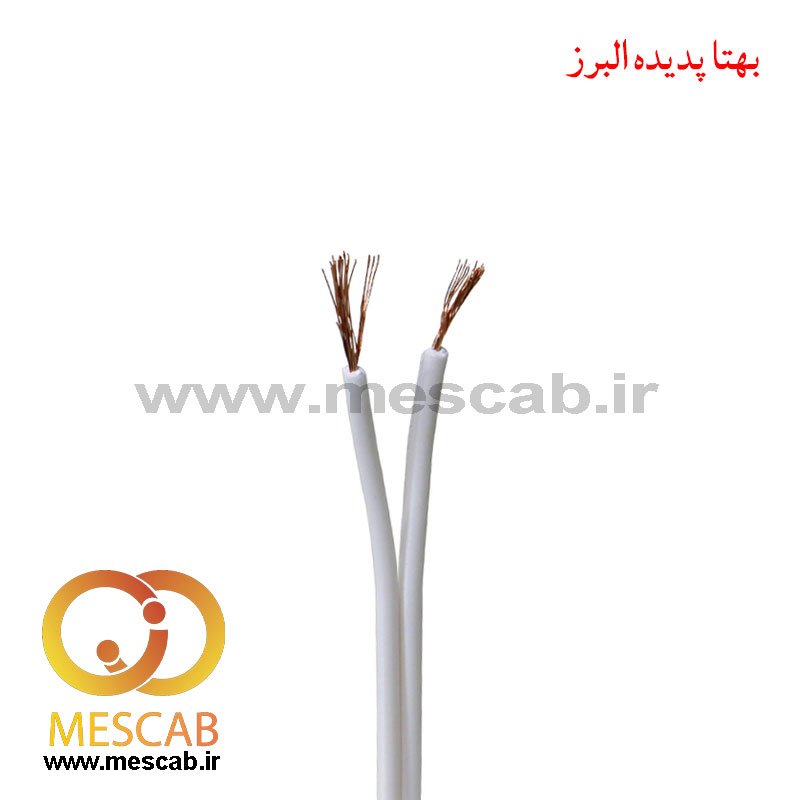 سیم برق دو رشته نایلونی تخت 2*1 مس مسکاب و البرز